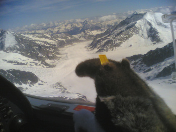 Andy in a plane